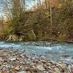 בית נופש By The River Polhov Gradec