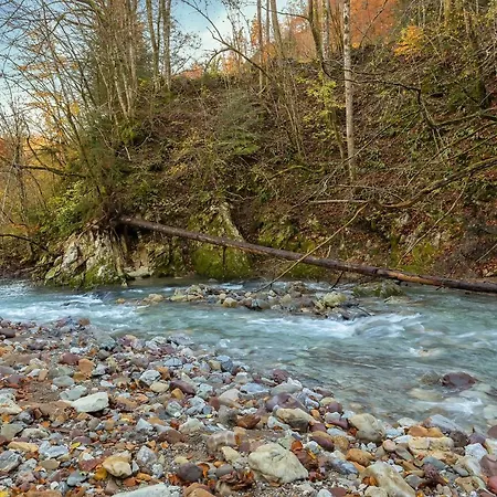 Hébergement de vacances By The River Polhov Gradec