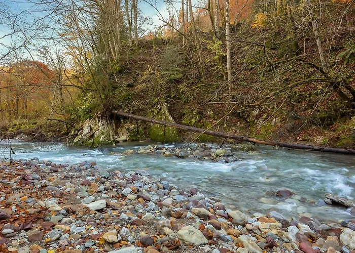 Casa vacanze By The River Polhov Gradec